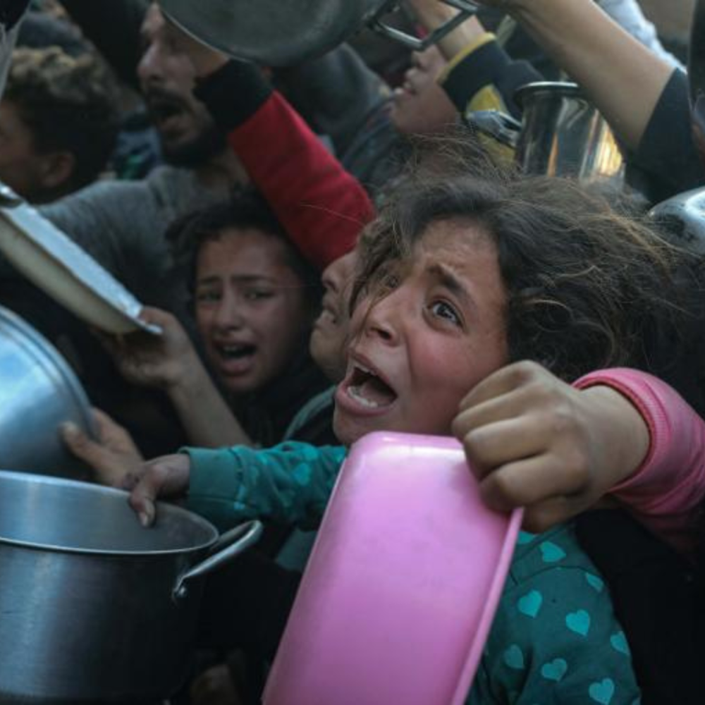 Gaza 2025: The Current Situation