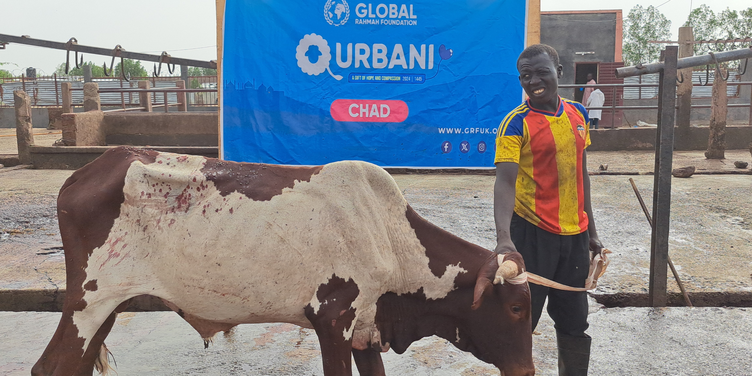 Donate Large Animal Qurbani in UK