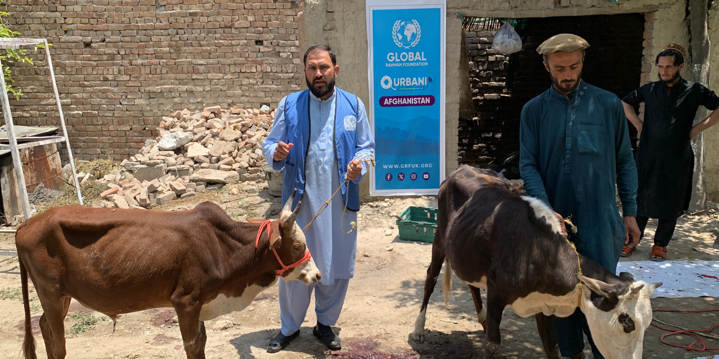 Donate Large Animal Qurbani in UK