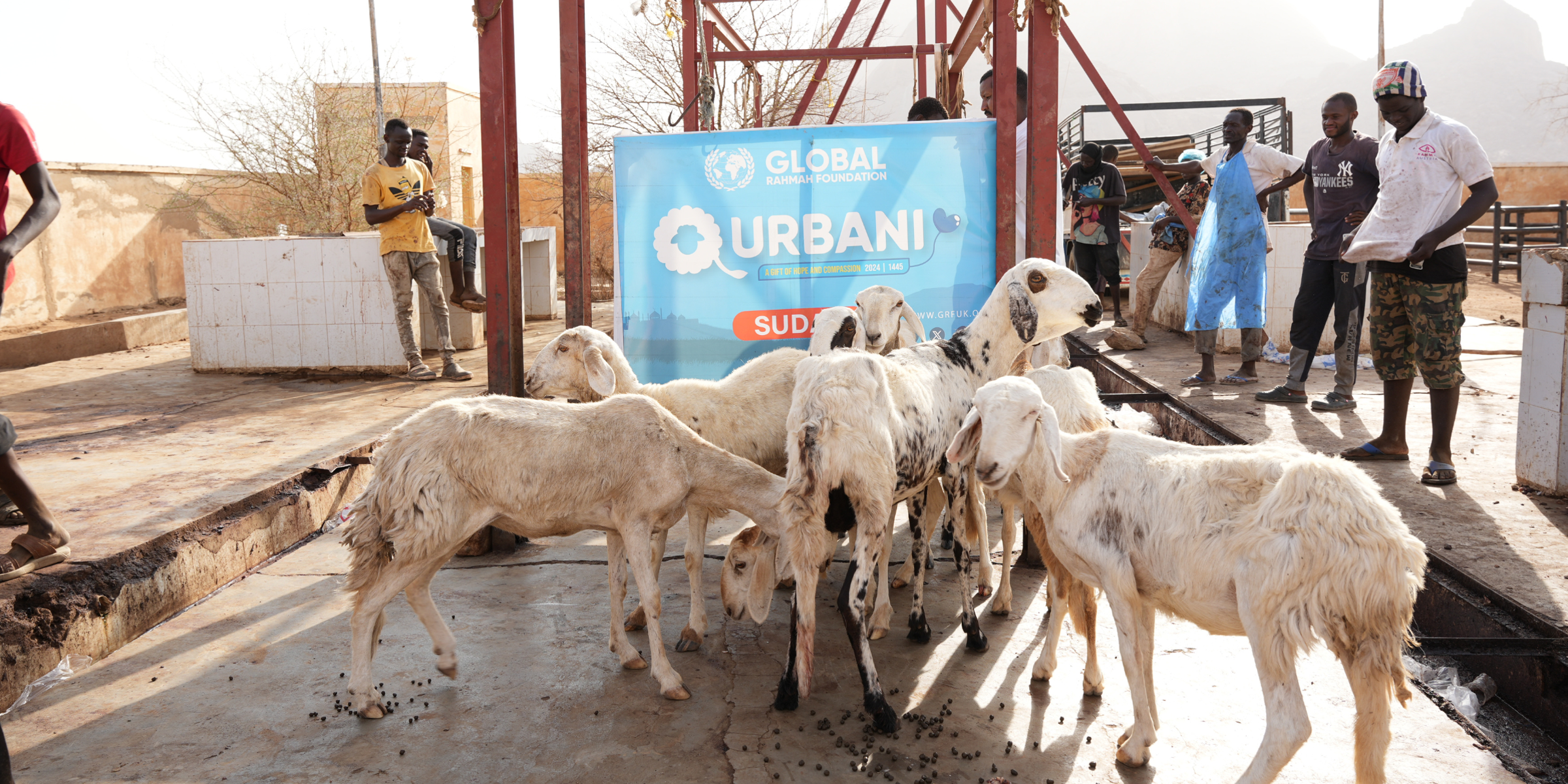 Small Animal Qurbani