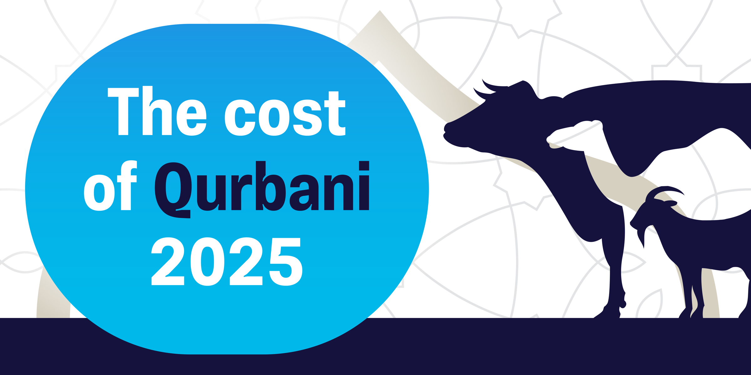 Qurbani cost 2025