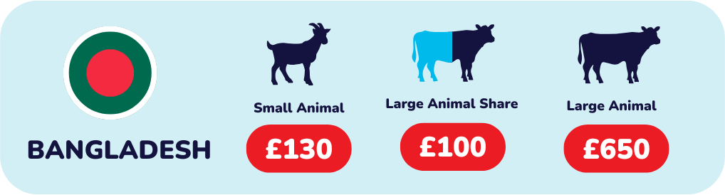 Give Qurbani