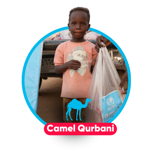 Camel Qurbani