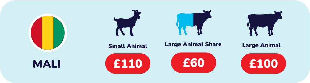Give Qurbani