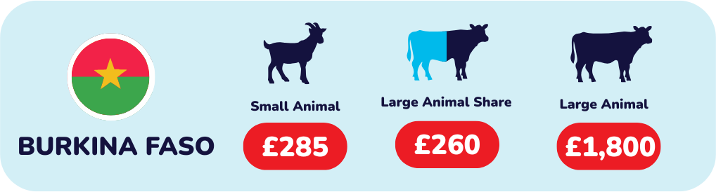 Give Qurbani