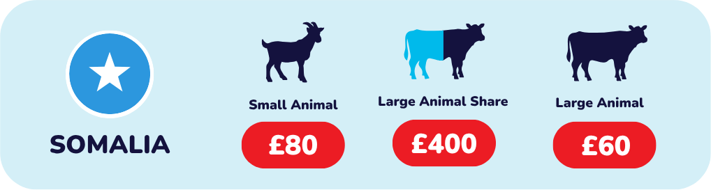 Give Qurbani